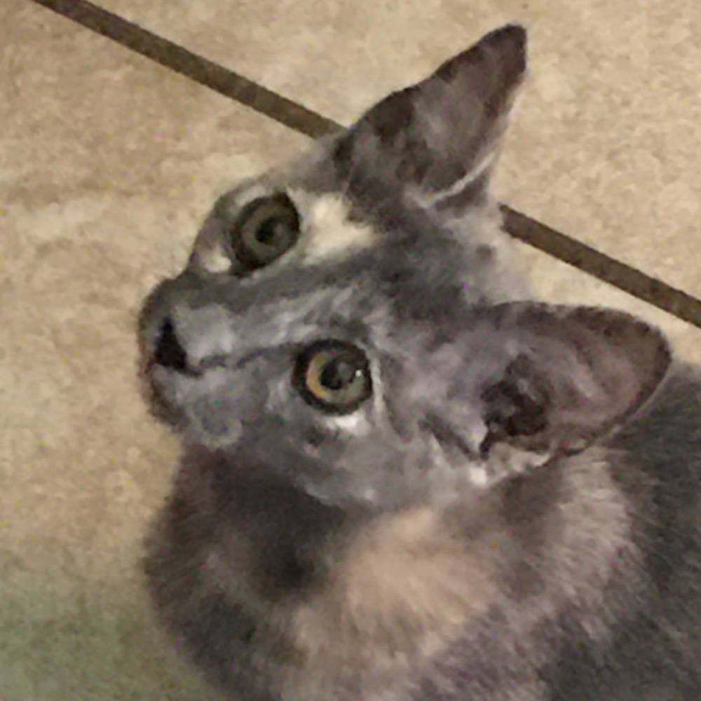 Meet your Posher, Alejandra